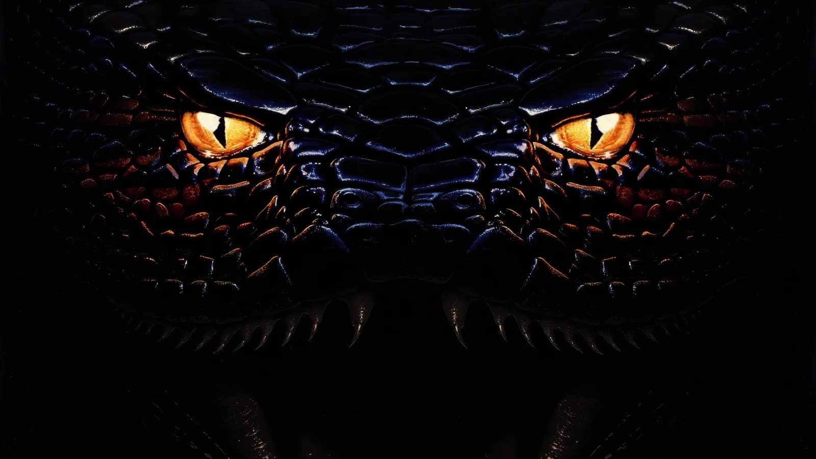 Anaconda