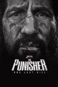 The Punisher: One Last Kill