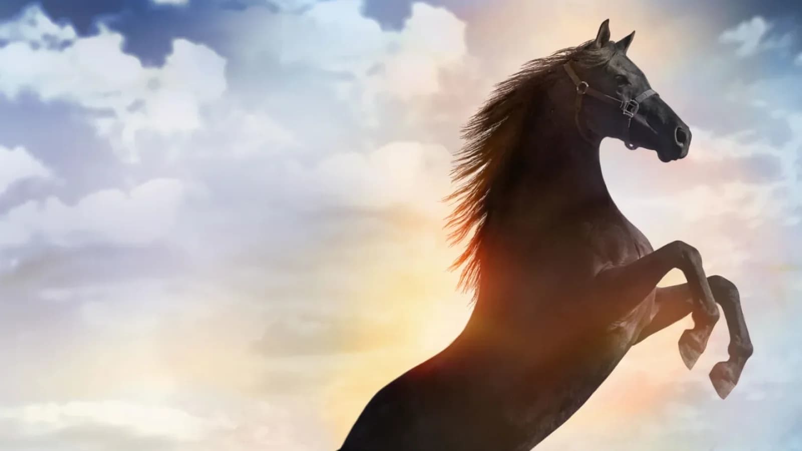 Flicka - Uno spirito libero