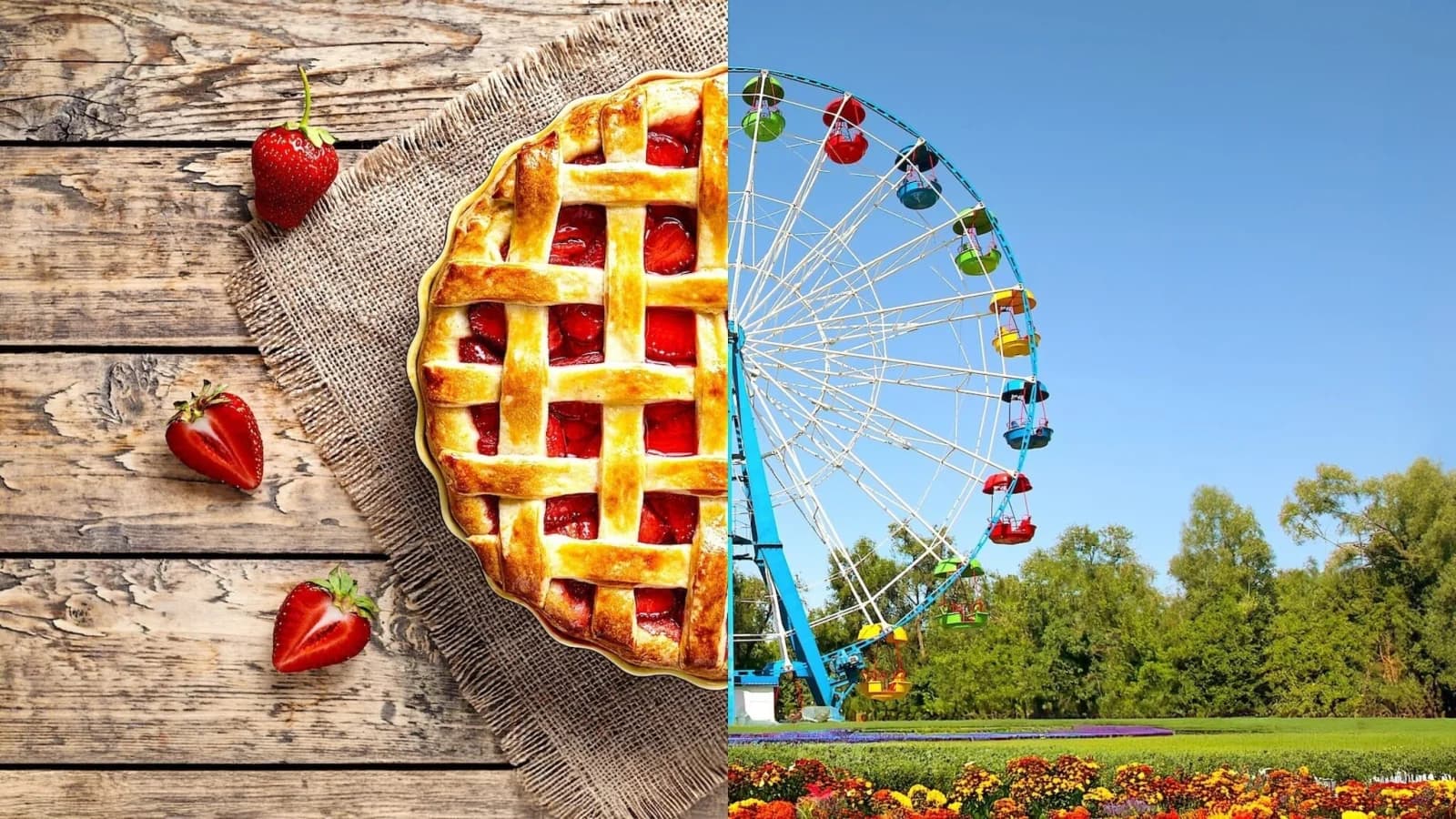 Blue Ribbon: il campionato di cucina USA