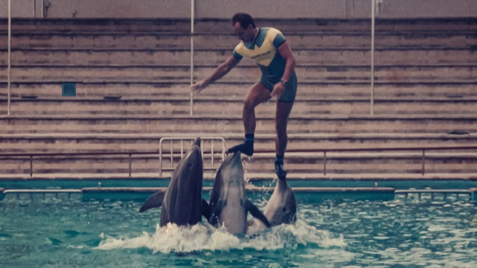 L'ultimo re dei delfini