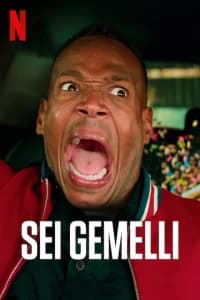 Sei gemelli