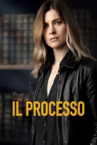 Il processo