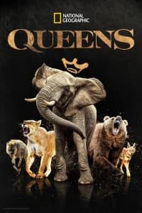 Queens: le regine della natura