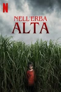 Nell'erba alta