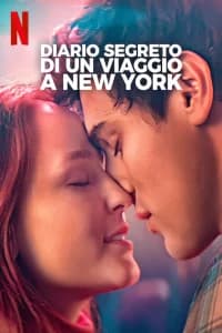 Diario segreto di un viaggio a New York