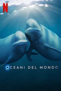 Oceani del mondo