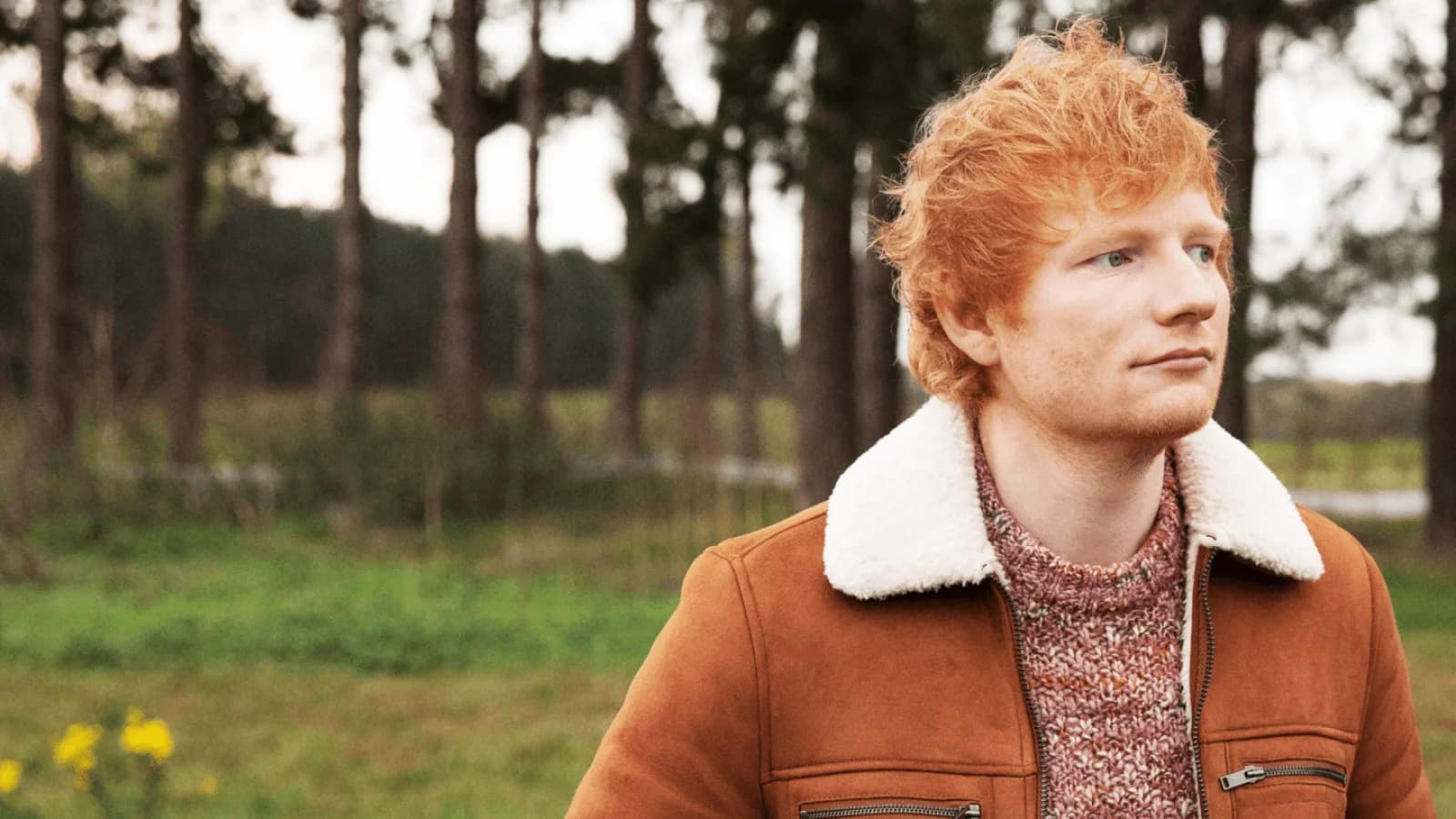 Ed Sheeran: oltre la musica