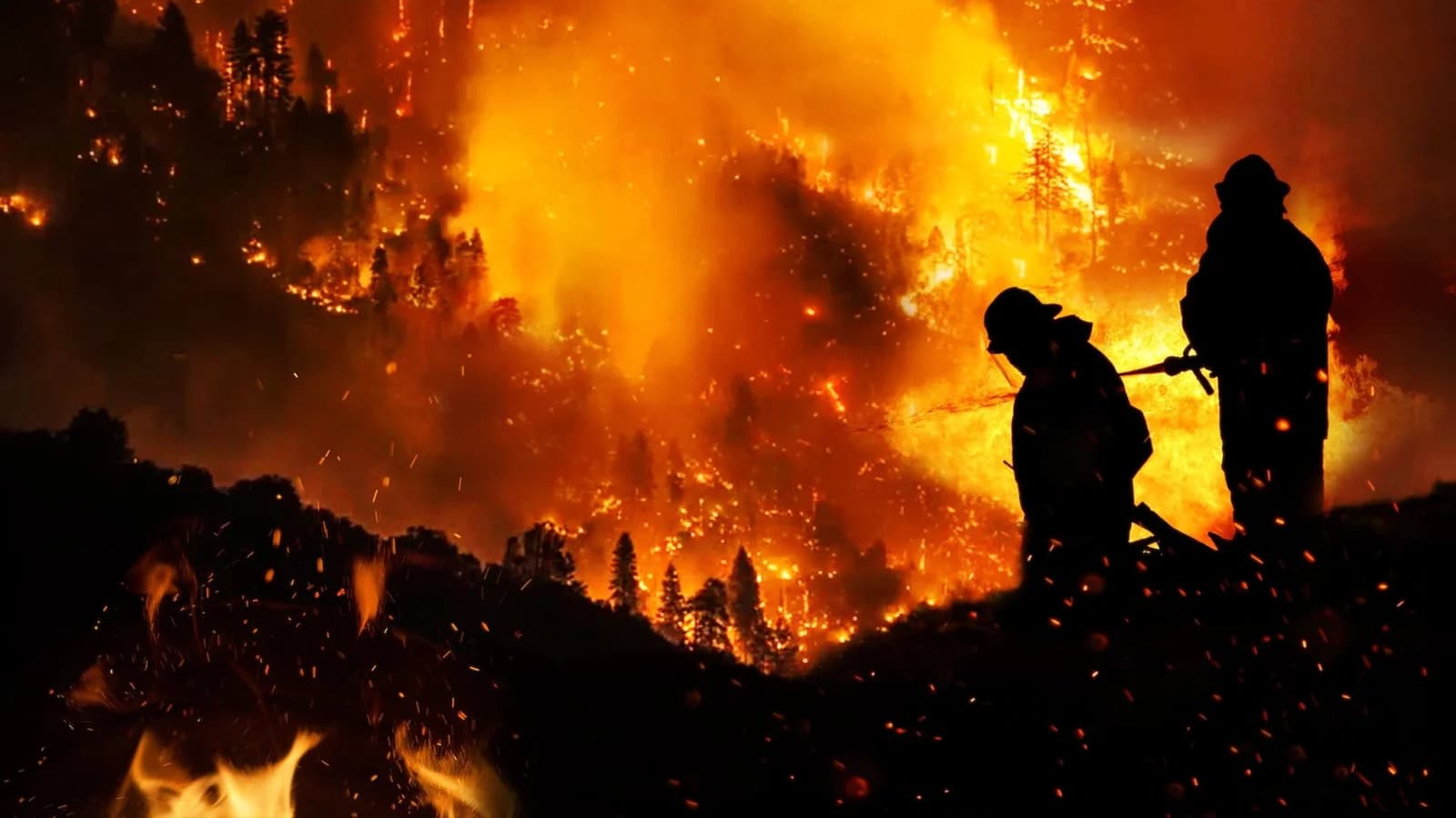Cacciatori di incendi