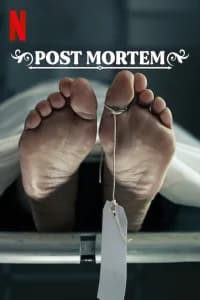 Post Mortem - Nessuno muore a Skarnes