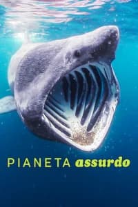 Pianeta assurdo