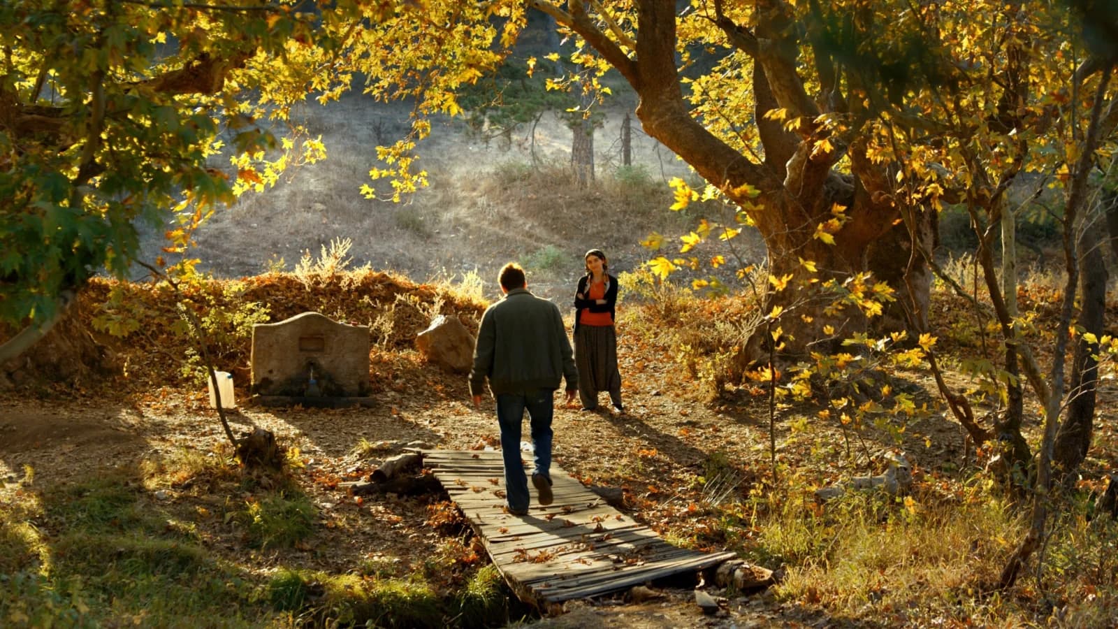 L'albero dei frutti selvatici