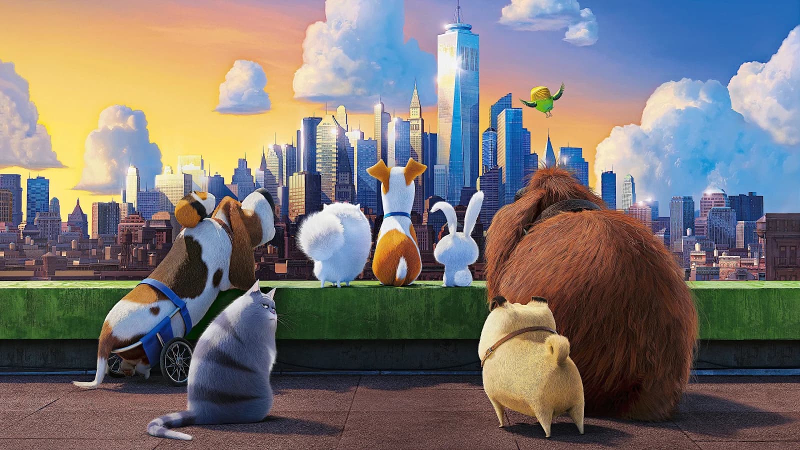 Pets - Vita da animali