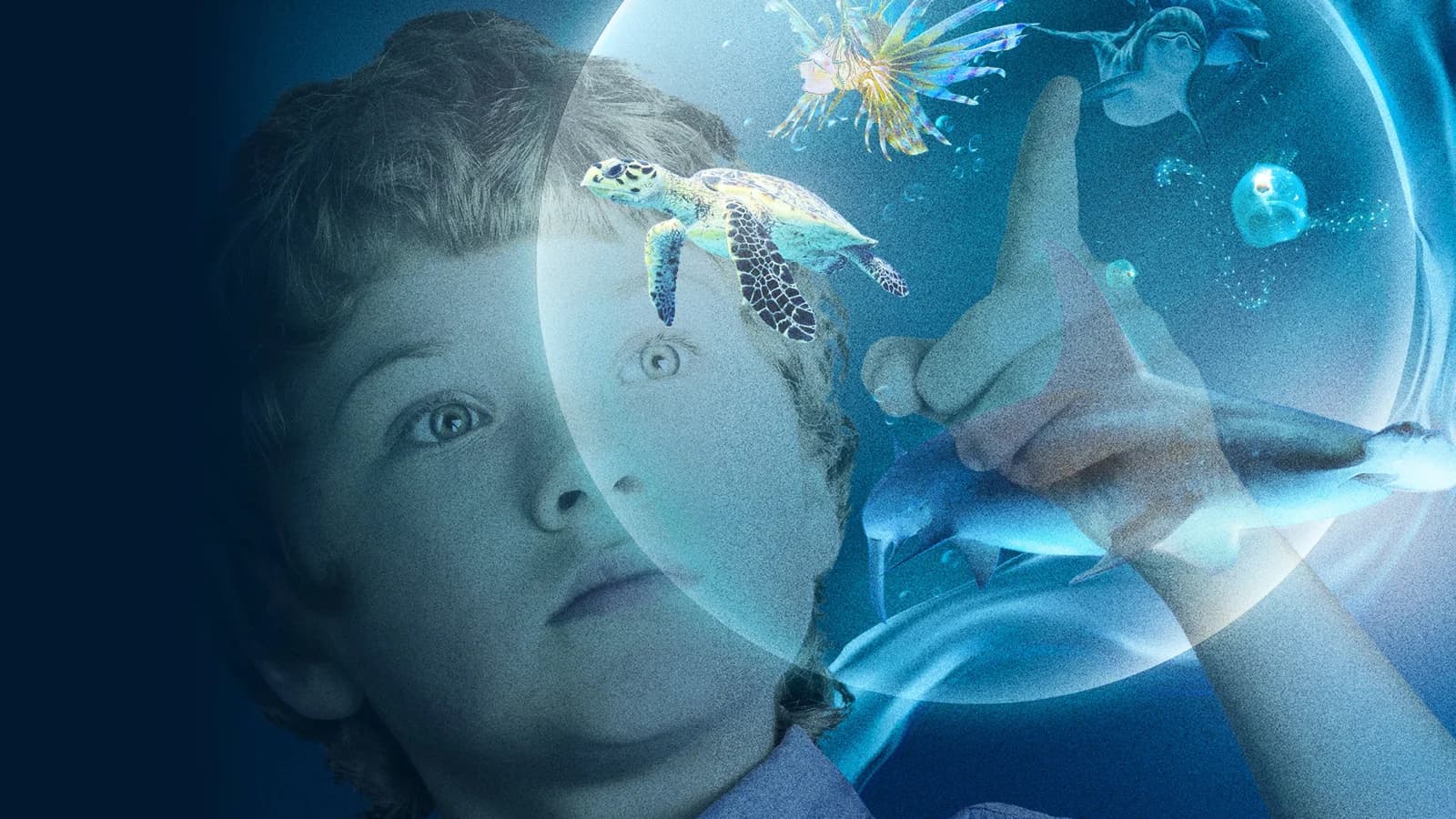 Le meraviglie del mare