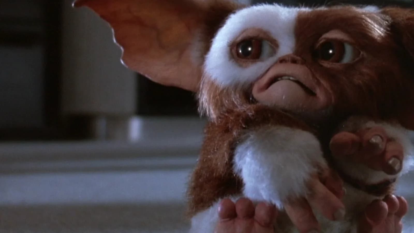 Gremlins 2 - La nuova stirpe