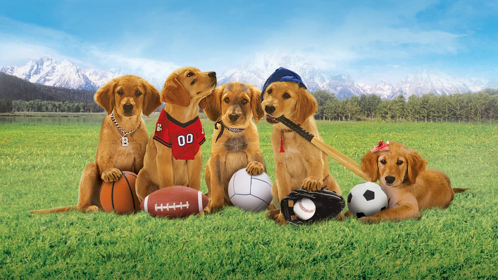 Air Buddies - Cuccioli alla riscossa