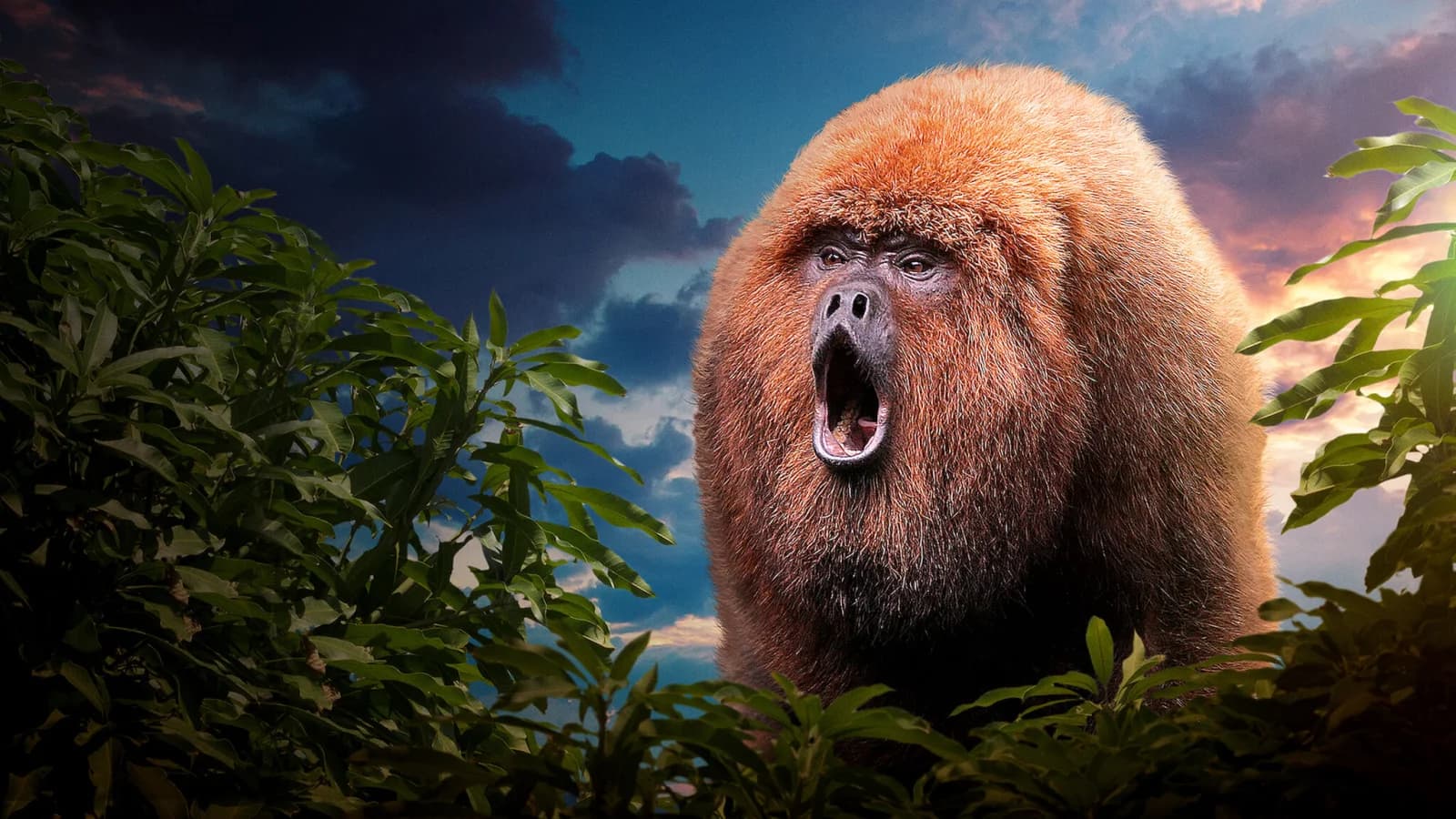 72 animali pericolosi: America Latina