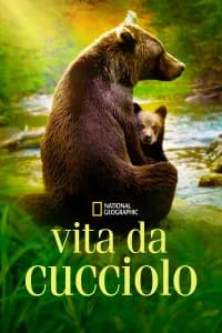 Vita da cucciolo