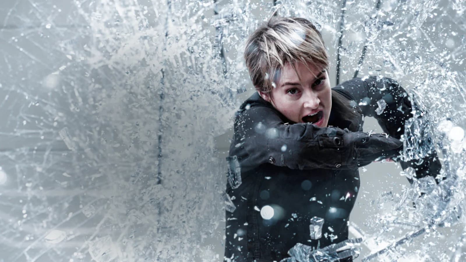 The Divergent Series - Insurgent