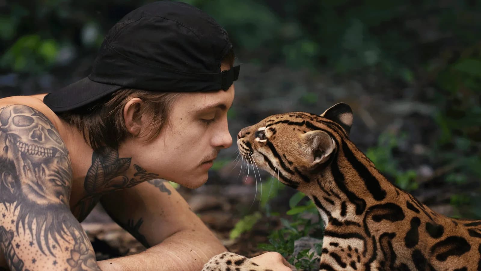 Wildcat - Vita selvaggia