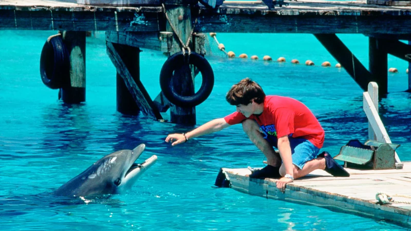 Flipper