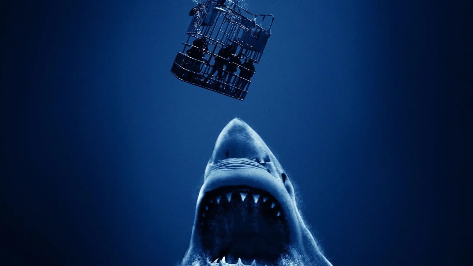 Open Water 3 - Cage Dive