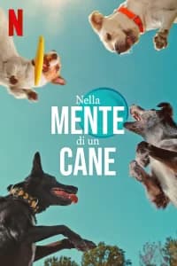 Nella mente di un cane