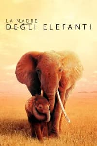 La madre degli elefanti