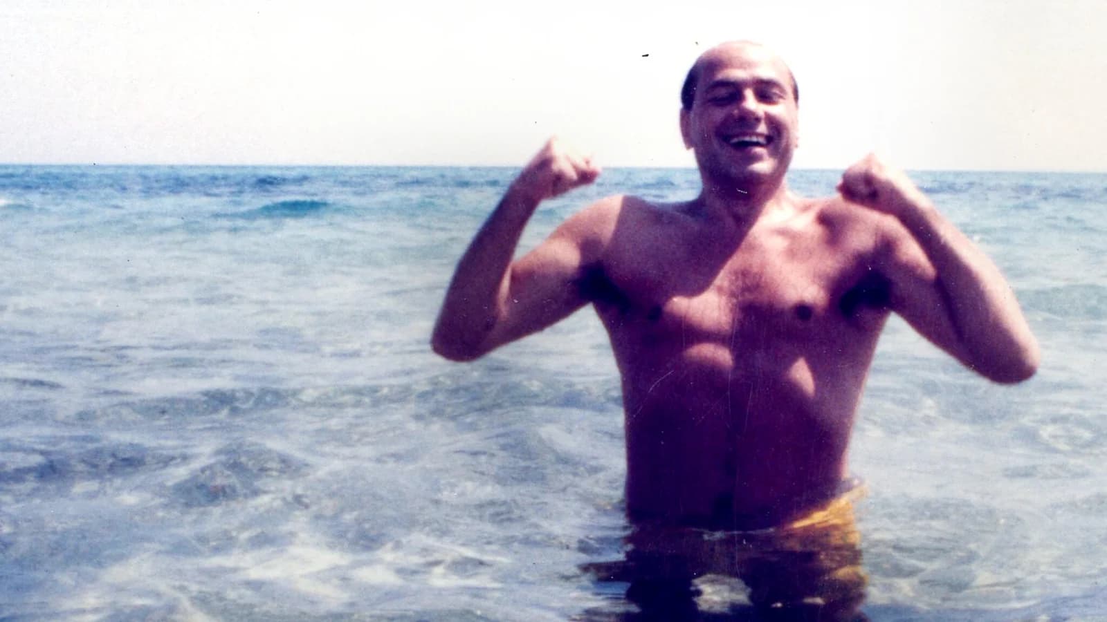 Il Giovane Berlusconi
