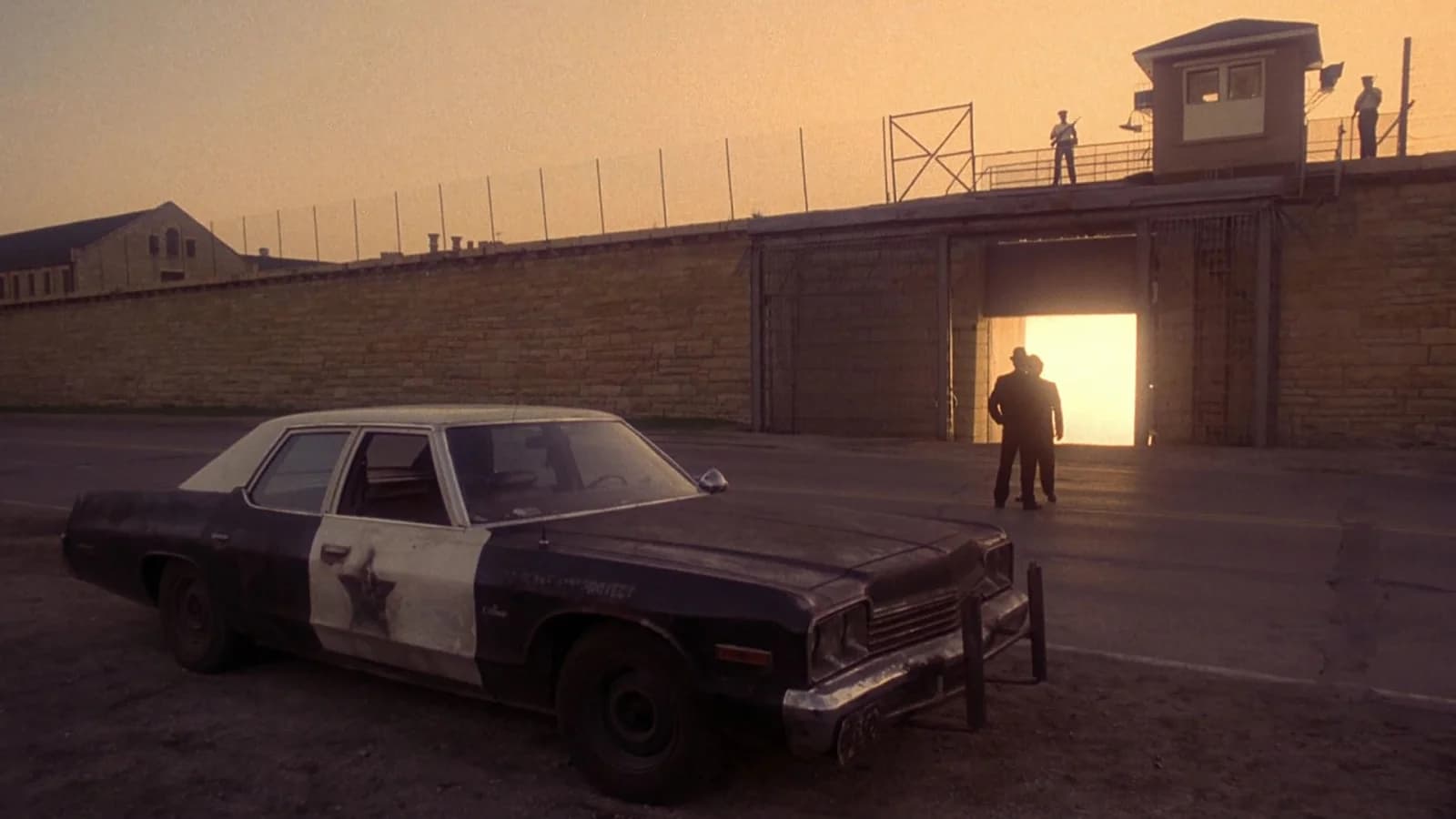 The Blues Brothers - I fratelli Blues