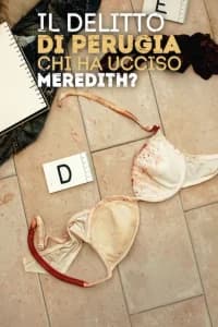 Il Delitto Di Perugia: Chi Ha Ucciso Meredith?