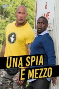 Una spia e mezzo