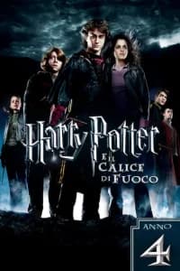 Harry Potter e il calice di fuoco