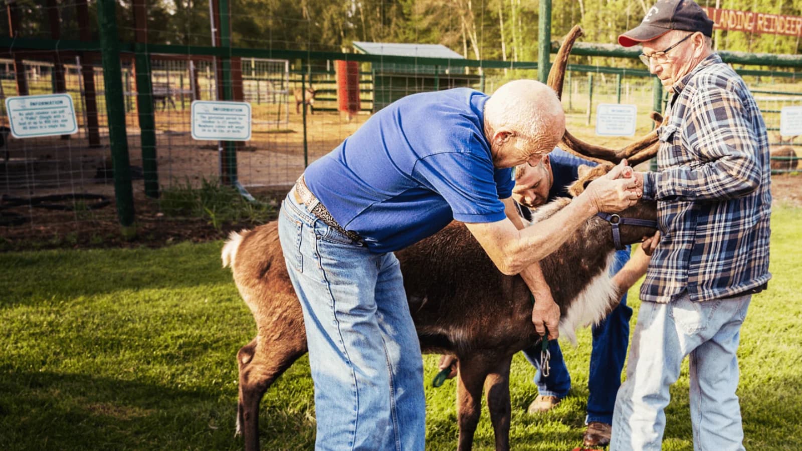 L'incredibile Dr. Pol