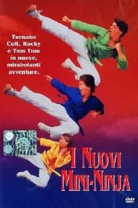 I nuovi mini ninja