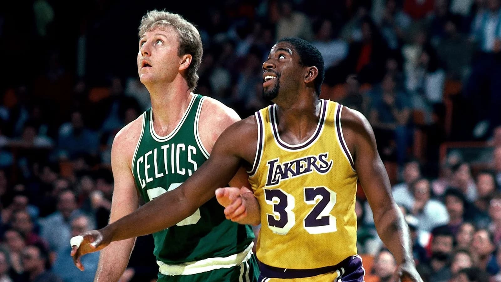 Magic & Bird