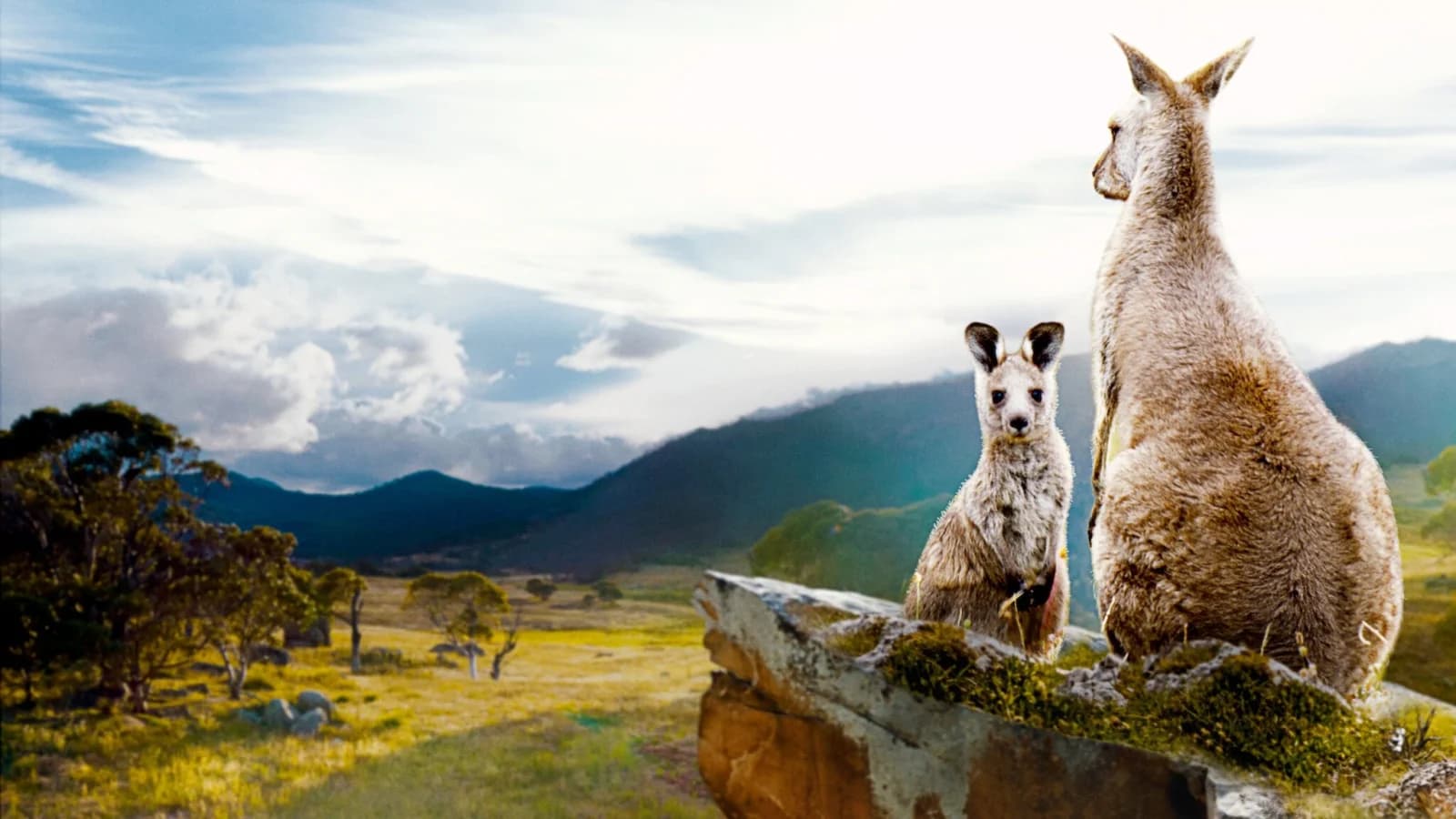 Kangaroo Valley - La valle dei canguri