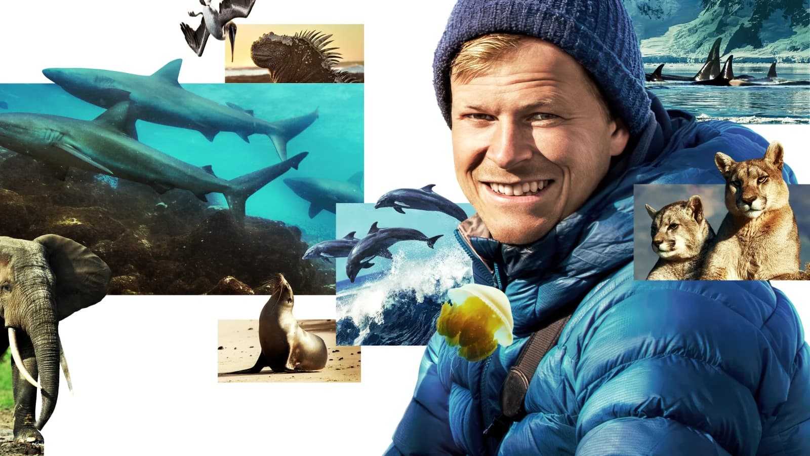 Bertie Gregory: a tu per tu con gli animali