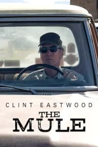 Il corriere - The Mule