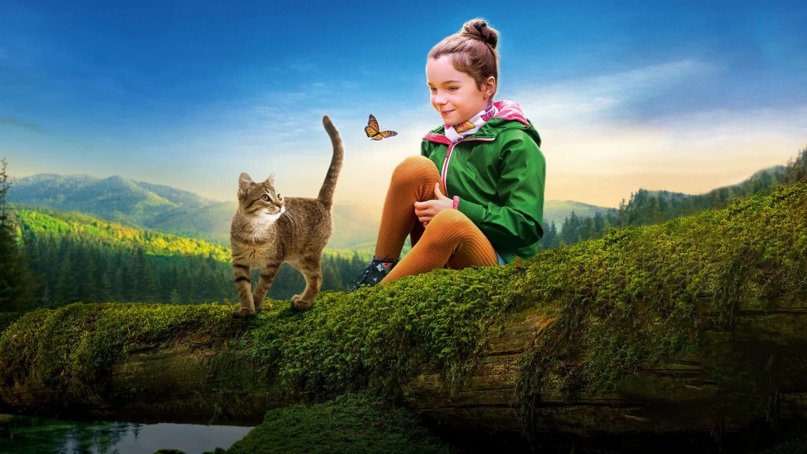 Vita da gatto