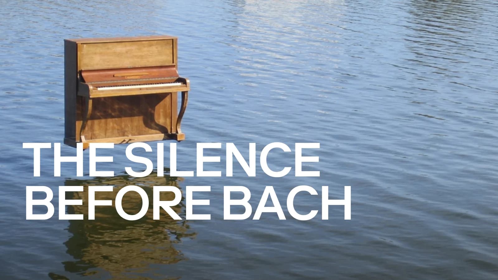 Die Stille vor Bach