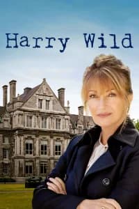 Harry Wild - La signora del delitto