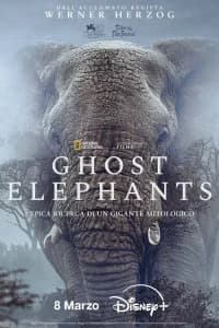 Ghost Elephants