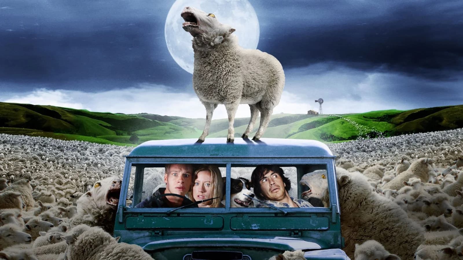 Black Sheep - Pecore assassine