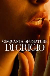 Cinquanta sfumature di grigio
