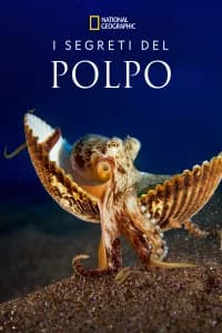 I segreti del polpo