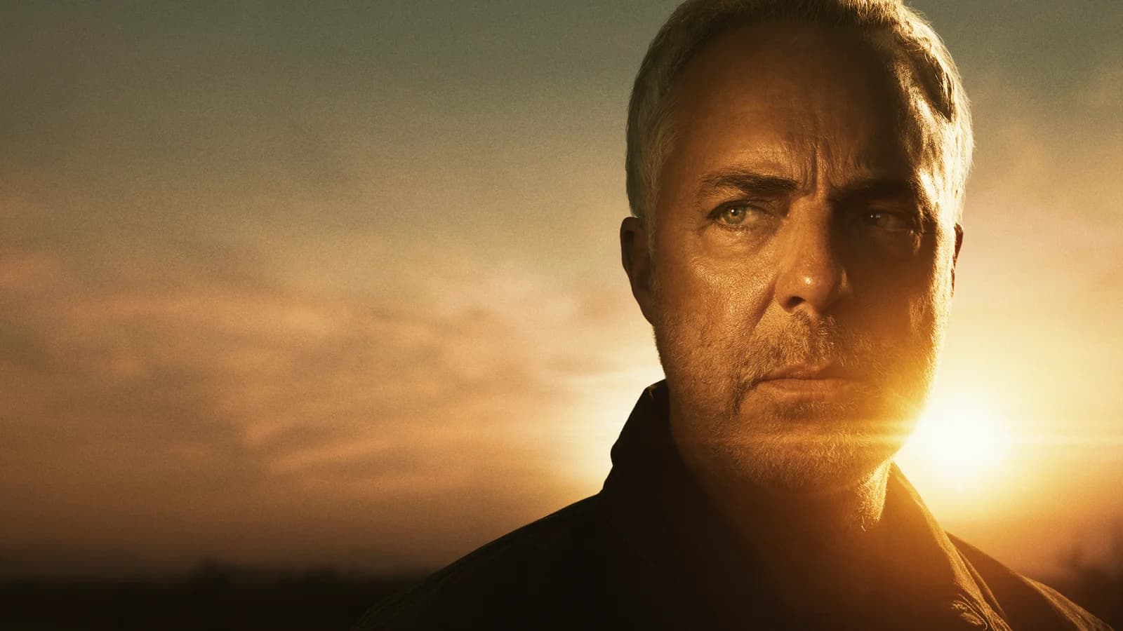 Bosch: l'eredità