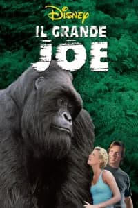 Il grande Joe
