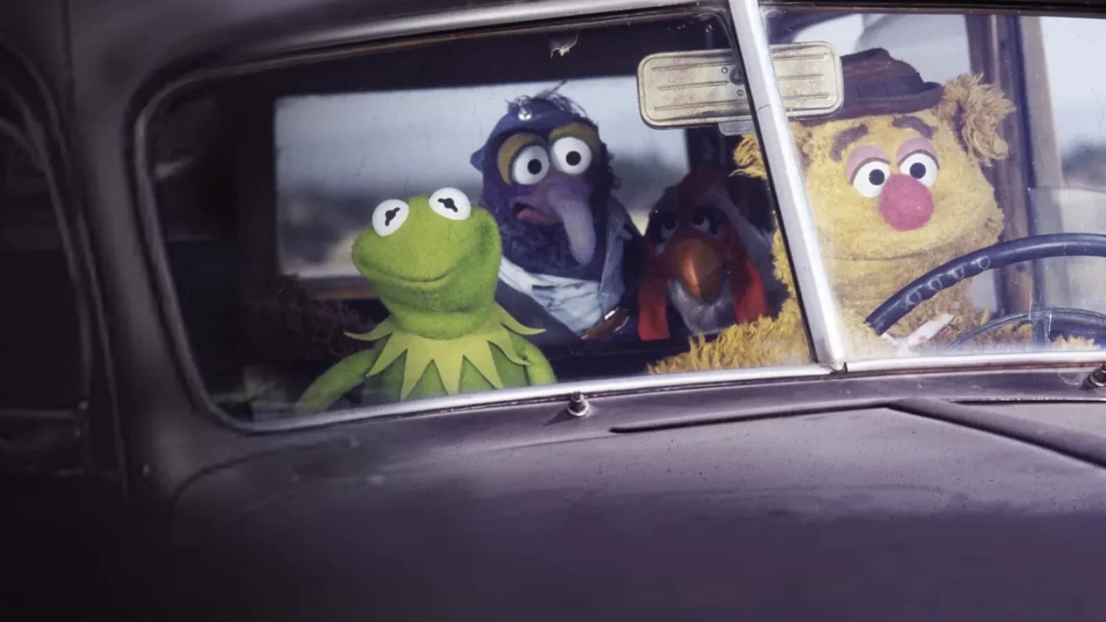 Ecco il film dei Muppet
