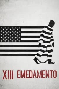 XIII emendamento